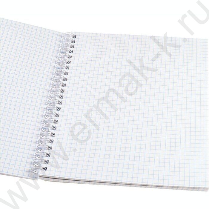 Тетрадь  80л клетка/спираль/двойная "Мегаполисы у воды" ассорти | Фото 8