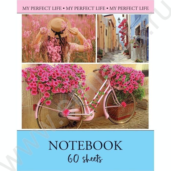 Тетрадь  60л клетка "Моя прекрасная жизнь" ассорти | Фото 3