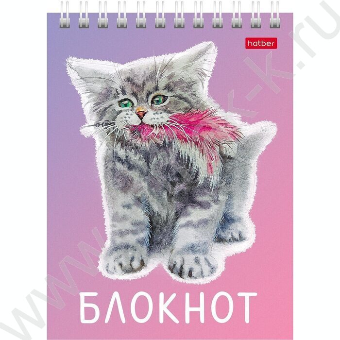 Блокнот  40л А6 спираль "Котики бывают разными" ассорти | Фото 2