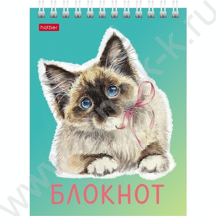 Блокнот  40л А6 спираль "Котики бывают разными" ассорти | Фото 3