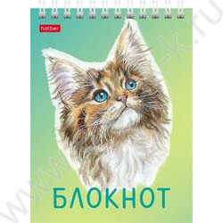 Блокнот  40л А6 спираль "Котики бывают разными" ассорти | Фото 6