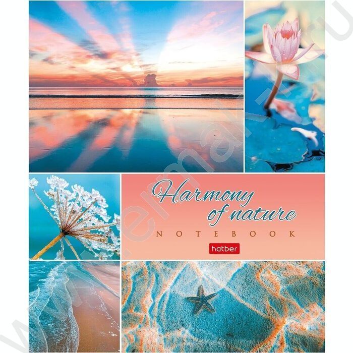 Тетрадь  80л клетка "Гармония природы" ассорти | Фото 2
