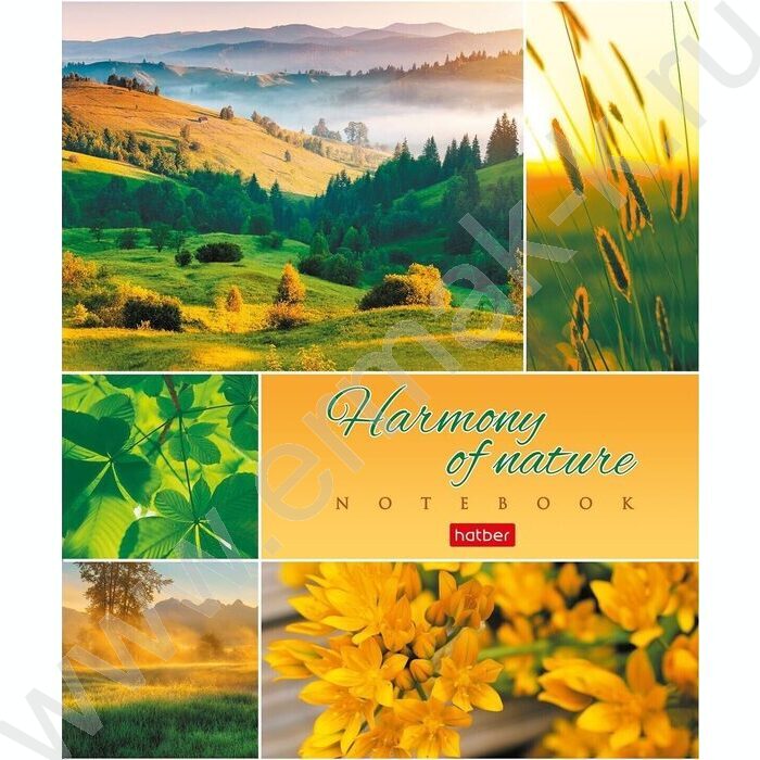 Тетрадь  80л клетка "Гармония природы" ассорти | Фото 3