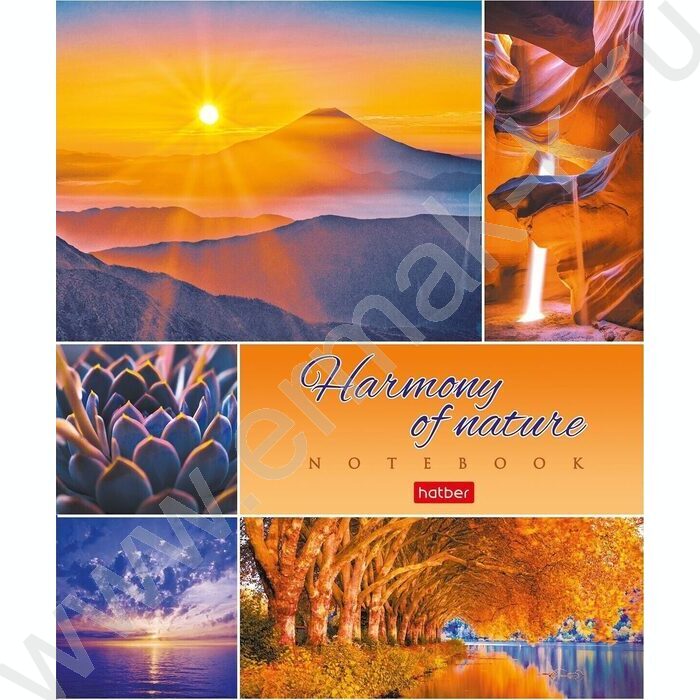 Тетрадь  80л клетка "Гармония природы" ассорти | Фото 4