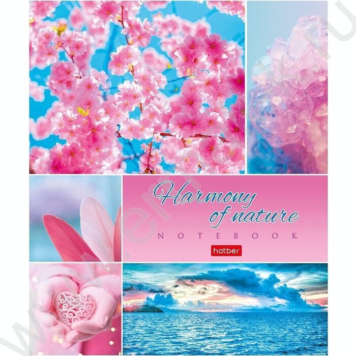 Тетрадь  80л клетка "Гармония природы" ассорти | Фото 5
