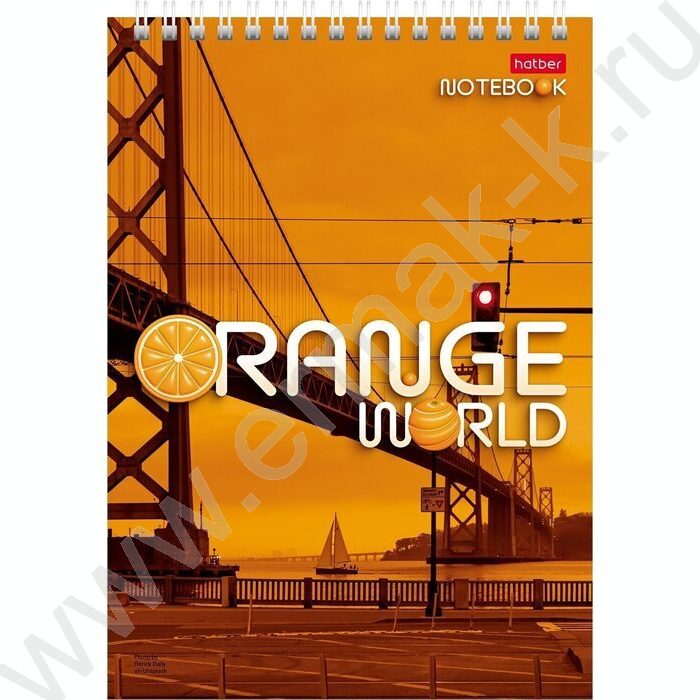 Блокнот  80л А5 спираль "Orange world" /УФ-лак жесткая подложка/ | Фото 1