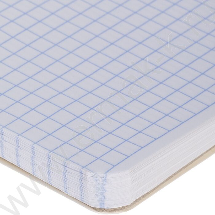 Блокнот  80л А5 спираль "Orange world" /УФ-лак жесткая подложка/ | Фото 3