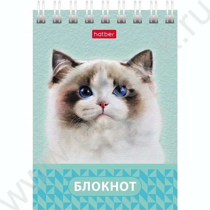 Блокнот  40л А7 спираль "Глазки, ушки, носик" | Фото 1