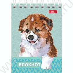 Блокнот  40л А7 спираль "Глазки, ушки, носик" | Фото 6