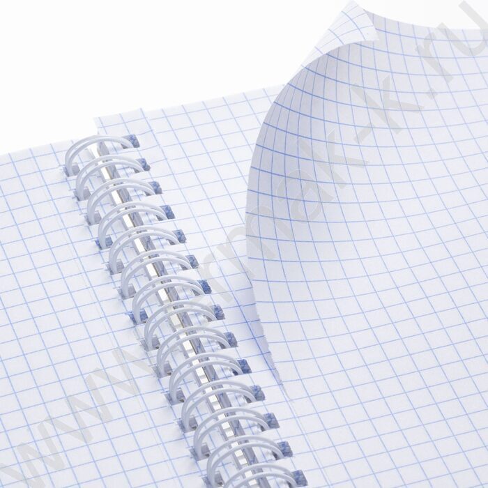 Тетрадь  96л клетка/спираль/тв.обл. "Floral dreams" | Фото 2