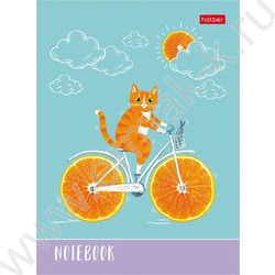 Зап. книжка  48л А6 тв.обл. "Котик-апельсинчик" | Фото 1