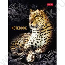 Зап. книжка  64л А6 тв.обл./клетка/линия "Ягуар" | Фото 1