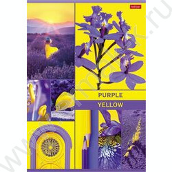 Тетрадь  48л А4 клетка "В мире грез" /глянц. ламин./ 5видов | Фото 3