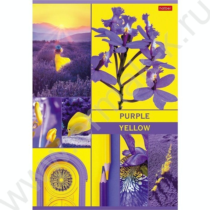 Тетрадь  48л А4 клетка "В мире грез" /глянц. ламин./ 5видов | Фото 3