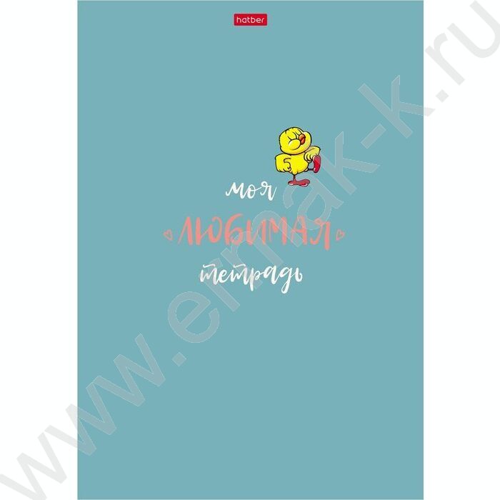 Тетрадь  48л А4 клетка "Моя любимая тетрадь" /мат.ламин./ 5видов | Фото 1