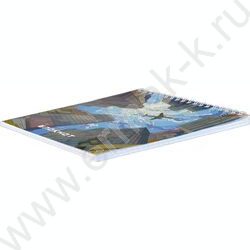 Блокнот  60л 160*160 "Мегаполис" /Блок - белый офсет 65 г/м², клетка, печать по фольге, выборочн | Фото 2