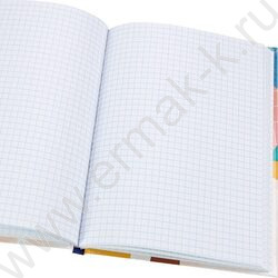 Зап. книжка  80л А5 тв.обл. "Девушка и арбуз" /холодная фольга/ | Фото 3