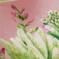Зап. книжка 160л А5 тв.обл. "Суккуленты и кактусы" /твин-лак, хол. фольга/ | Фото 5
