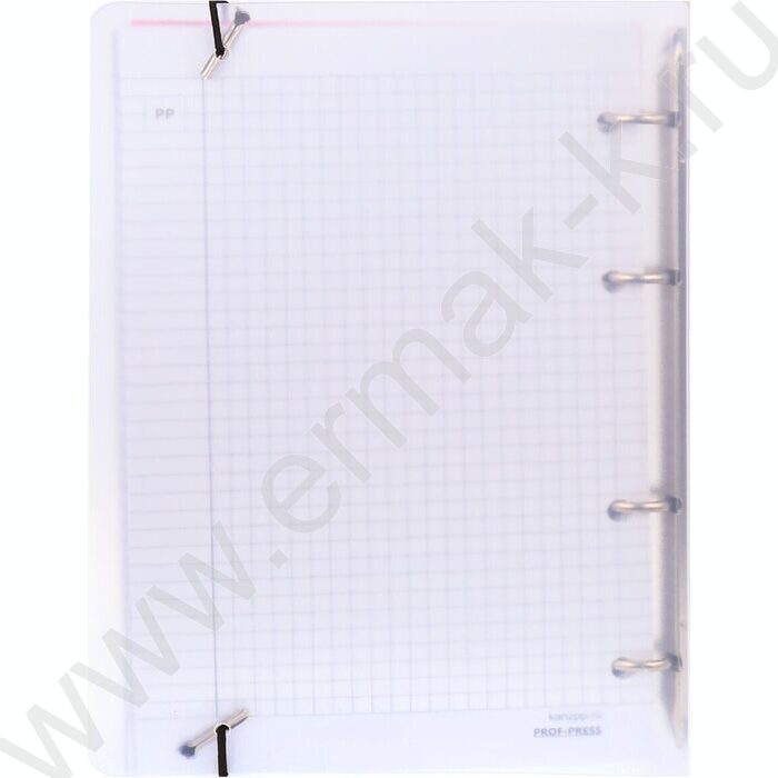 Тетрадь 120л клетка/кольца "Пейзаж в дымке" /с перфорацией, обл.пластик,резинка/ | Фото 7