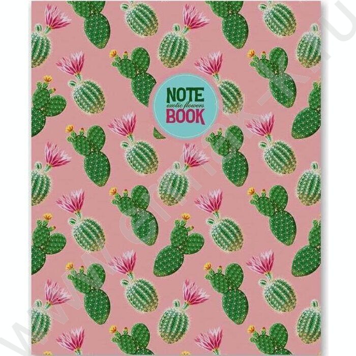 Бизнес-блокнот  64л А5+ "Мир кактусов" /глянцевая ламинация/клетка | Фото 1