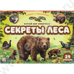 Плакат с окошками. Секреты леса | Фото 1