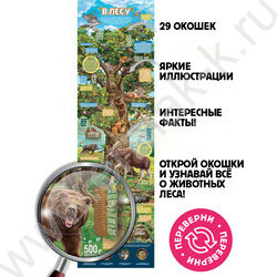 Плакат с окошками. Секреты леса | Фото 2