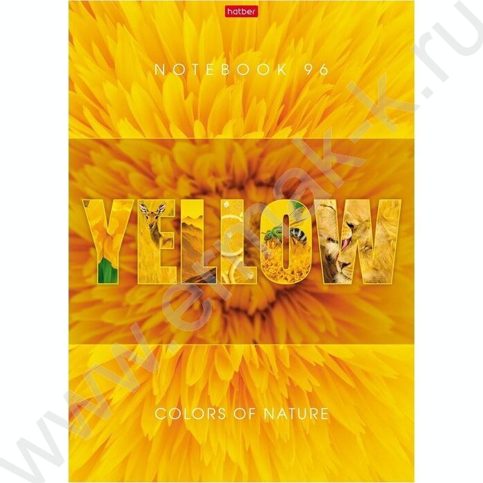 Тетрадь  96л А4 клетка "Гармония цвета" /выб.лак/ ассорти | Фото 1