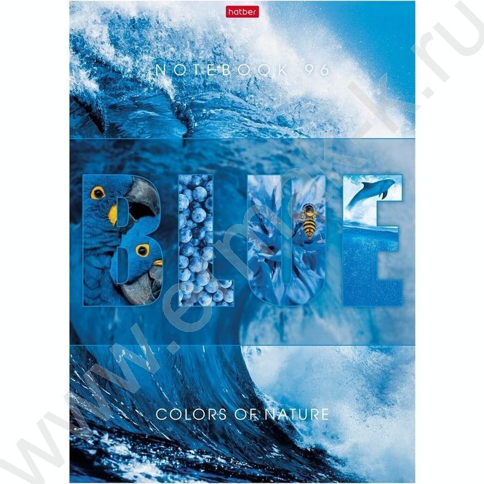 Тетрадь  96л А4 клетка "Гармония цвета" /выб.лак/ ассорти | Фото 3