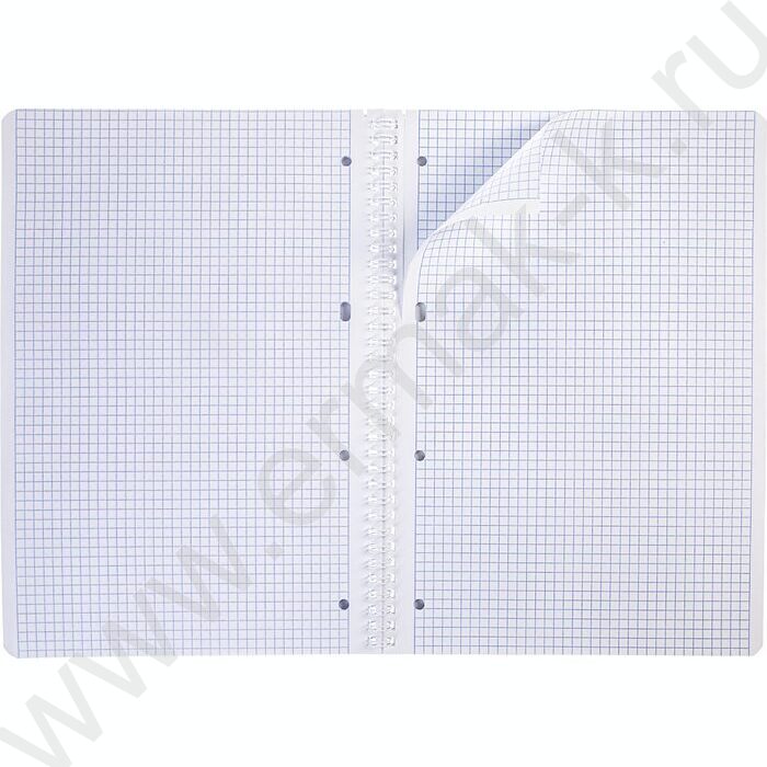 Тетрадь  96л А4 клетка/спираль "INSIDE" /выб лак/ ассорти | Фото 5