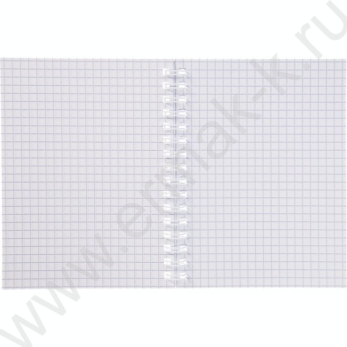 Зап. книжка  80л А6 спираль /пластик.обл. "LINE NEON Зеленая" | Фото 2