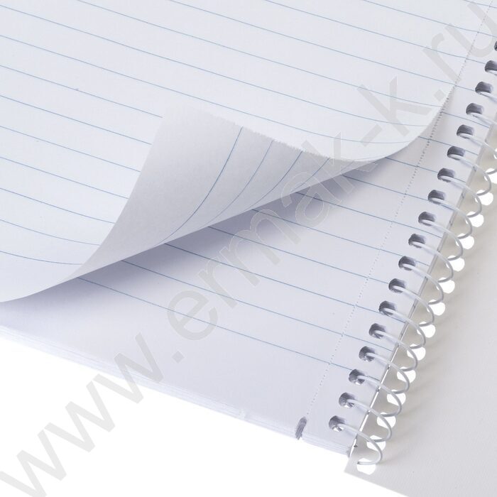 Тетрадь  96л А4 линейка/спираль "Студенту- Синяя" /мат.ламин,тиснение/ ассорти | Фото 3