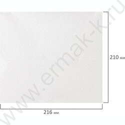 Полотенца бумажные 2-сл 200л листовое V-сложение  210*216мм /система H3, PREMIUM UNIT PACK | Фото 3