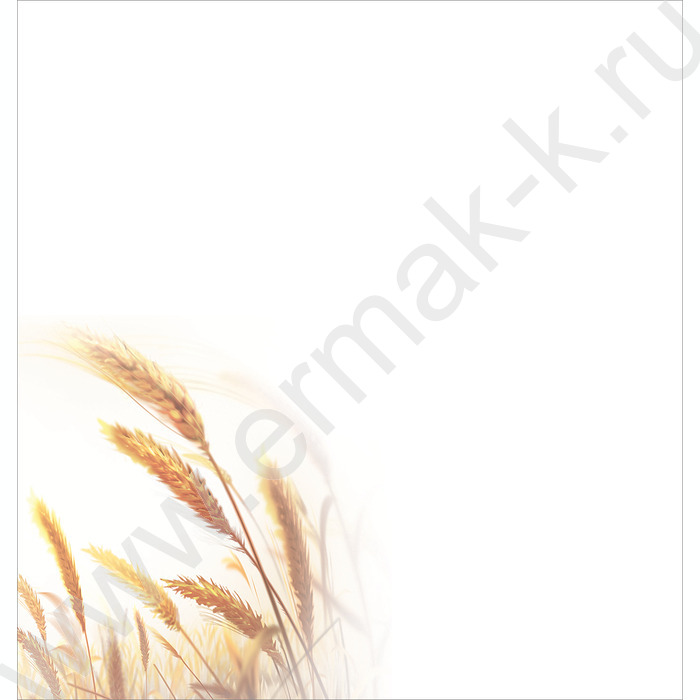 Открытка  97*204мм "23 февраля!" | Фото 2