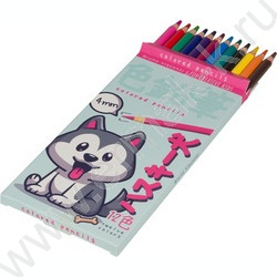 Карандаши пластиковые 12цв Kawall Animals 4вида | Фото 2