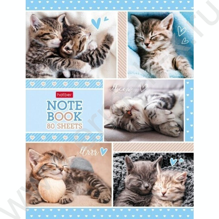 Бизнес-блокнот  80л А5 5-цв.блок "Пушистые мордочки" | Фото 1