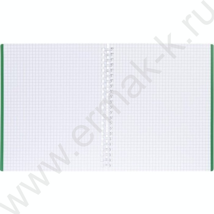Тетрадь  80л клетка/спираль/пластик.обл. "VELVET  Зеленая" | Фото 2