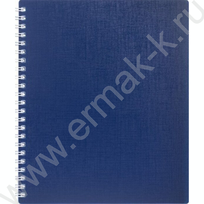 Тетрадь  80л клетка/спираль/пластик.обл. "CANVAS  Синяя" | Фото 1
