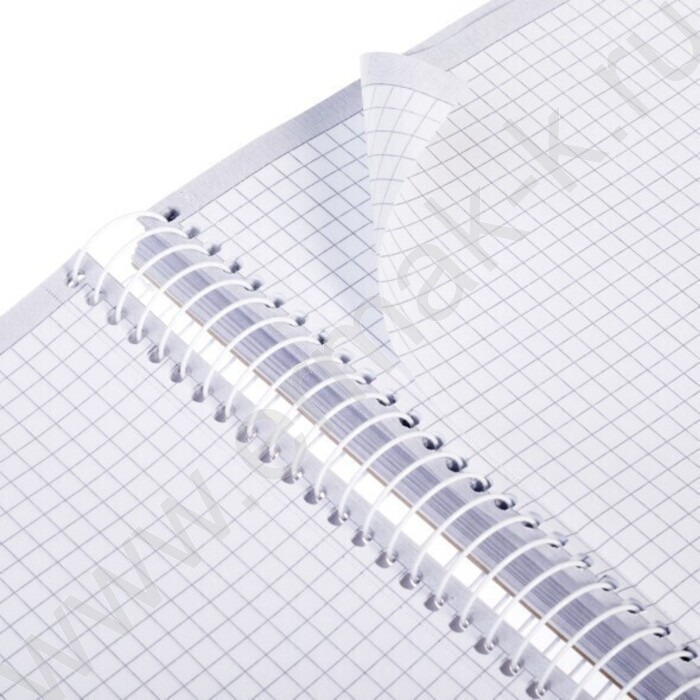 Тетрадь 120л клетка/спираль/тв.обл. "Гармония цвета" | Фото 3