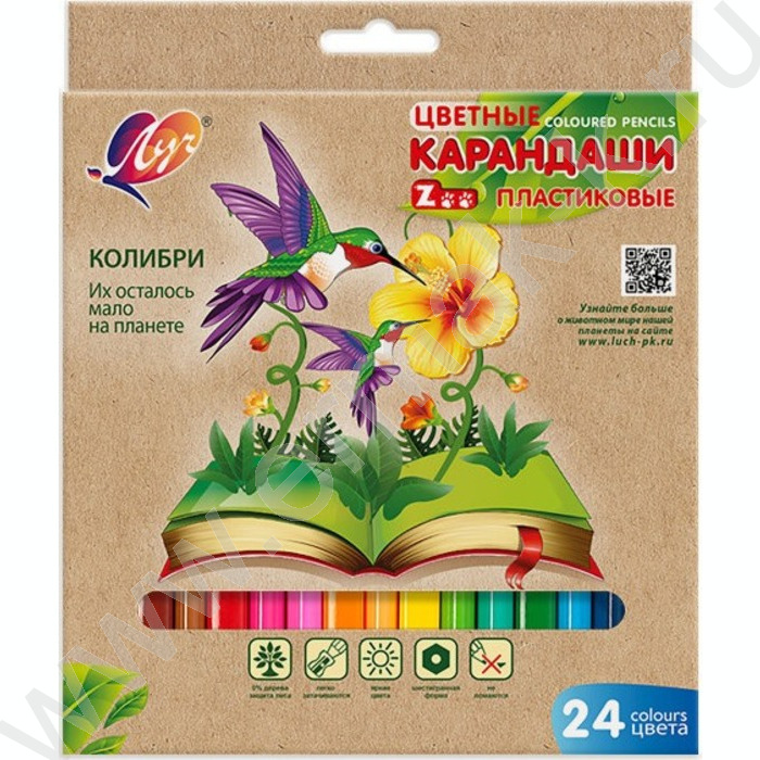 Карандаши пластиковые 24цв "ZOO" /европодвес | Фото 1