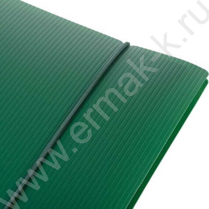 Тетрадь 120л клетка/кольца/пластик.обл./резинка "VELVET Зеленая" | Фото 3