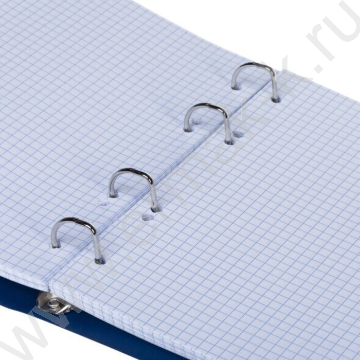 Тетрадь 120л клетка/кольца/пластик.обл./резинка "CANVAS Синяя" | Фото 2