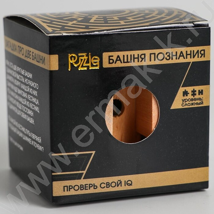 Игра Головоломка Игры разума Башня познания | Фото 3
