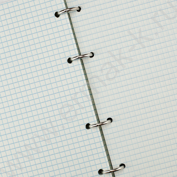 Тетрадь  80л клетка/кольца "Manga.Anime" со смен.блоком | Фото 3