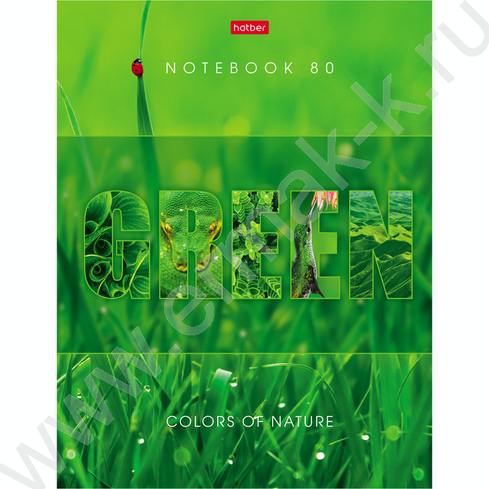 Бизнес-блокнот  80л А5 5-цв.блок "Гармония цвета" блок линия | Фото 1