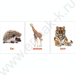 Обучающие карточки.Дикие животные | Фото 2
