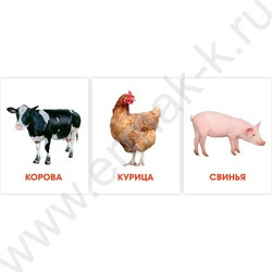 Обучающие карточки.Домашние животные | Фото 2