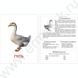 Обучающие карточки.Домашние животные | Фото 3