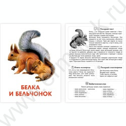 Обучающие карточки.Мамы и малыши | Фото 3