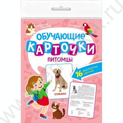 Обучающие карточки.Питомцы | Фото 1