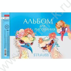 Альбом д/рисования-спираль 40л "Модные страусы" /перфорация/ ассорти | Фото 2